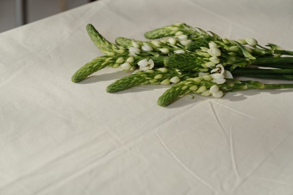 White Calla Lily & Fern Basket